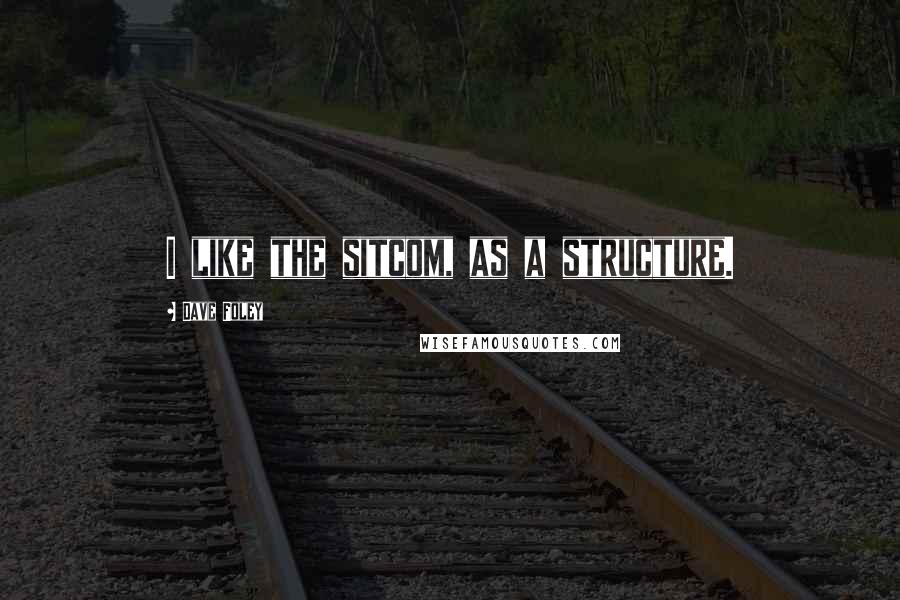Dave Foley Quotes: I like the sitcom, as a structure.