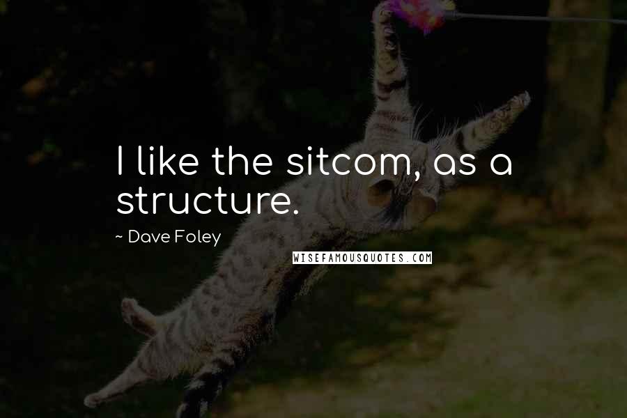 Dave Foley Quotes: I like the sitcom, as a structure.