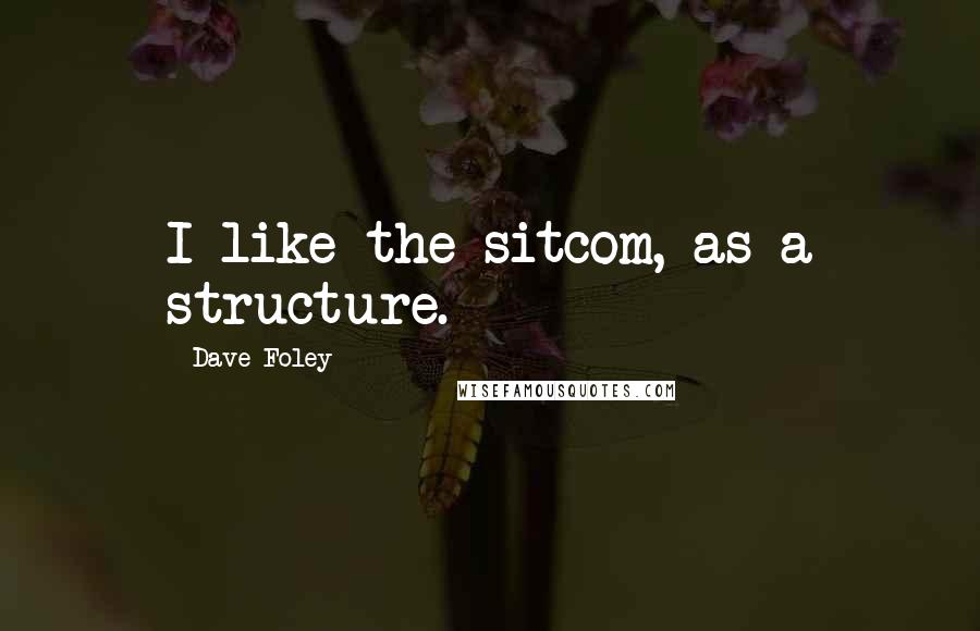 Dave Foley Quotes: I like the sitcom, as a structure.