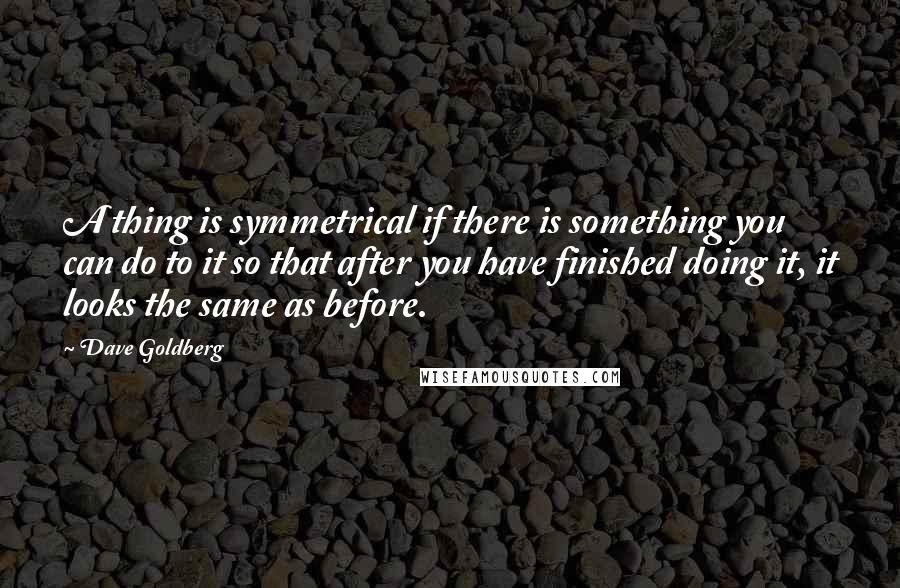 Dave Goldberg Quotes: A thing is symmetrical if there is something you can do to it so that after you have finished doing it, it looks the same as before.