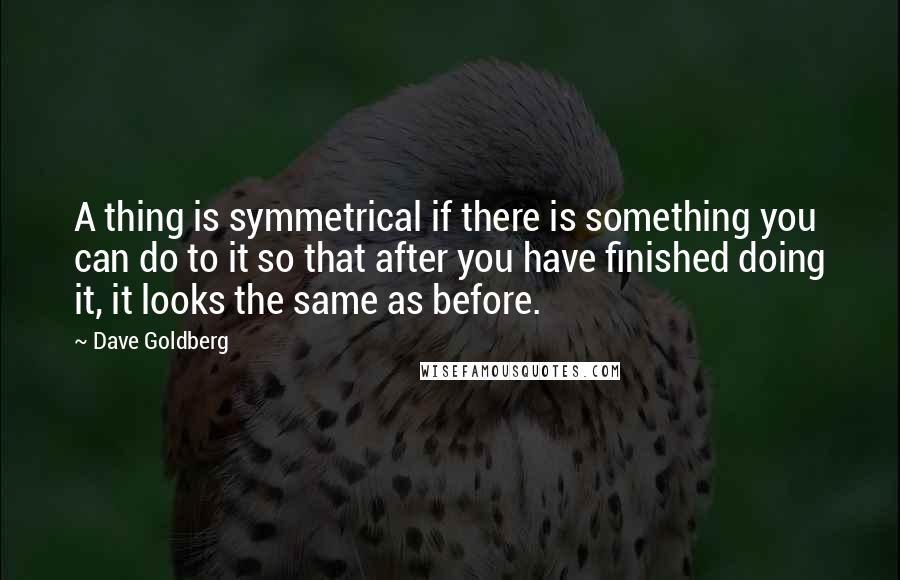 Dave Goldberg Quotes: A thing is symmetrical if there is something you can do to it so that after you have finished doing it, it looks the same as before.