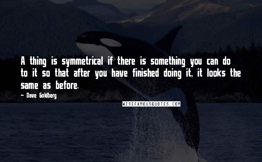 Dave Goldberg Quotes: A thing is symmetrical if there is something you can do to it so that after you have finished doing it, it looks the same as before.