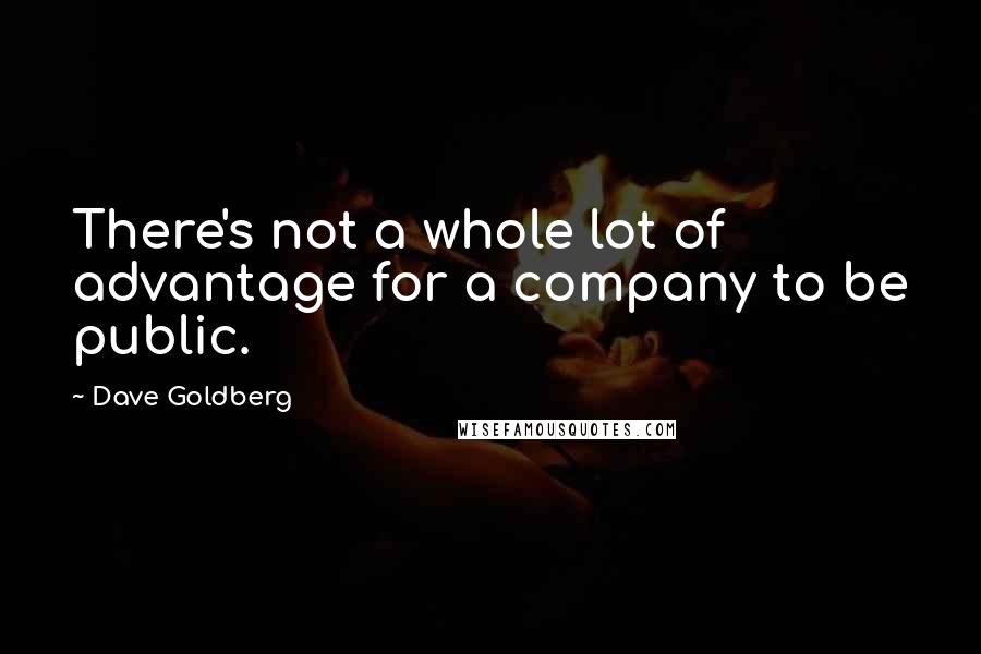 Dave Goldberg Quotes: There's not a whole lot of advantage for a company to be public.