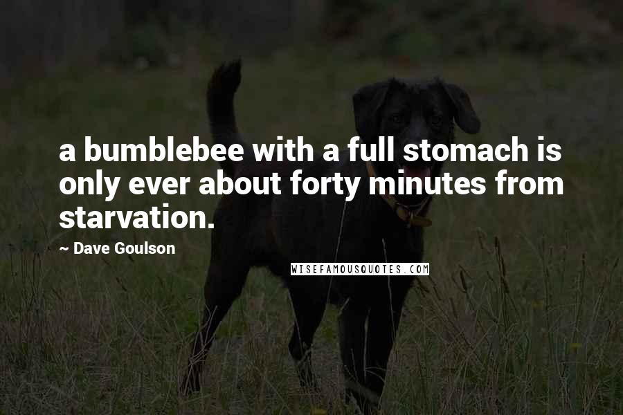 Dave Goulson Quotes: a bumblebee with a full stomach is only ever about forty minutes from starvation.