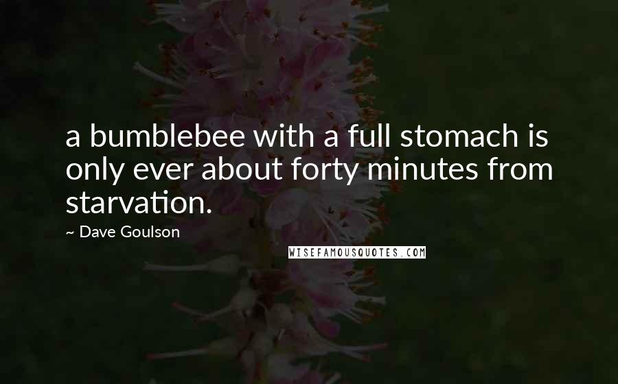 Dave Goulson Quotes: a bumblebee with a full stomach is only ever about forty minutes from starvation.