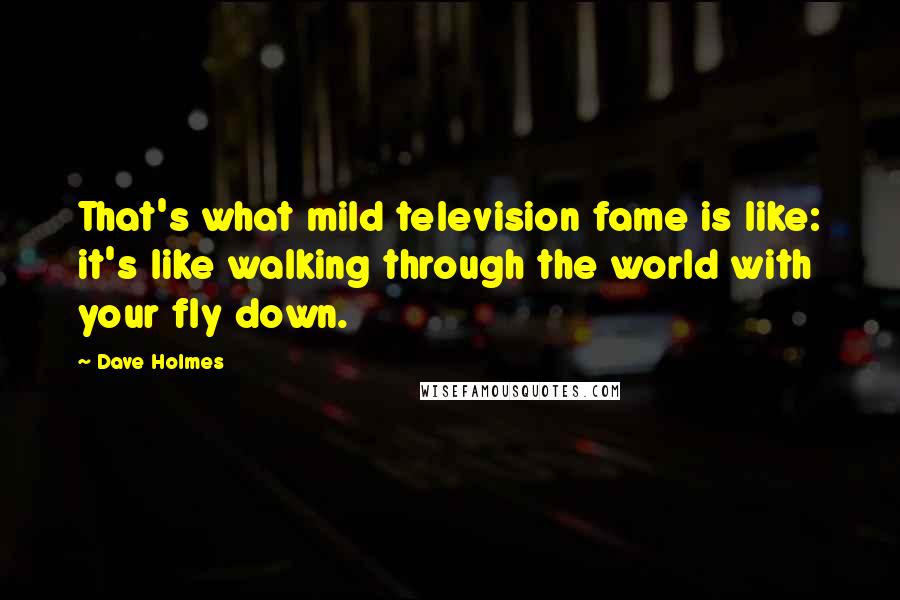 Dave Holmes Quotes: That's what mild television fame is like: it's like walking through the world with your fly down.