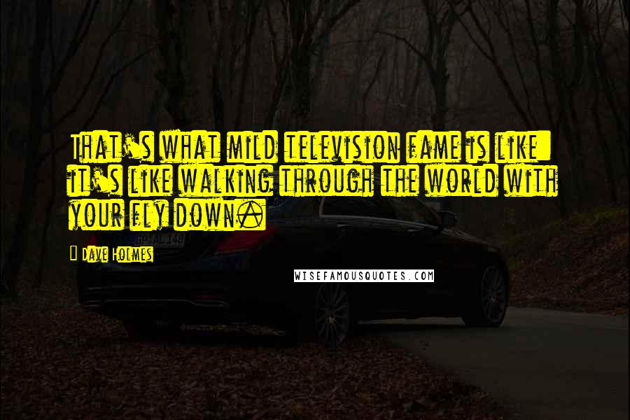 Dave Holmes Quotes: That's what mild television fame is like: it's like walking through the world with your fly down.