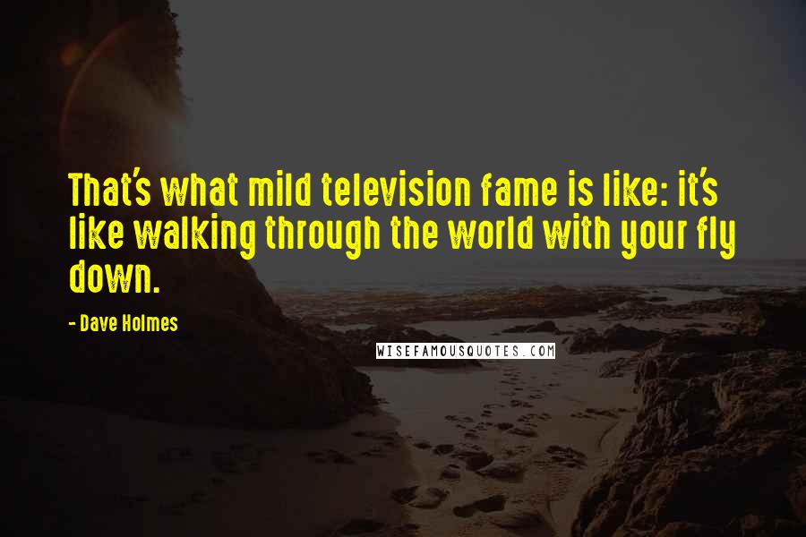 Dave Holmes Quotes: That's what mild television fame is like: it's like walking through the world with your fly down.