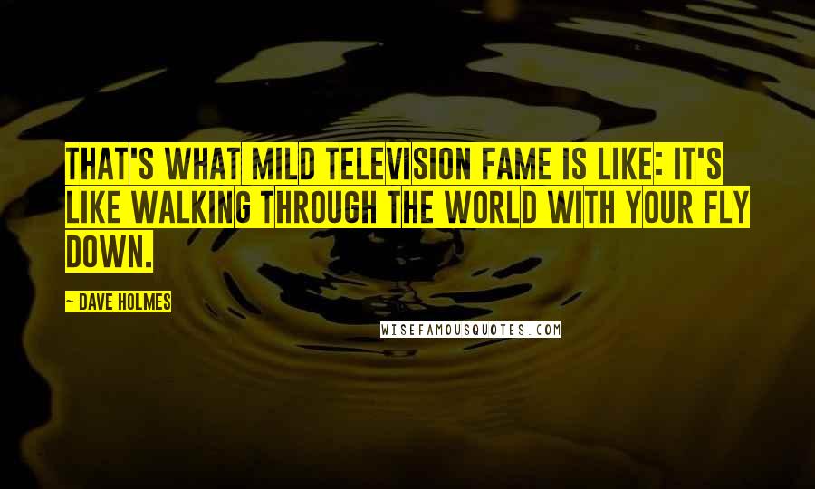 Dave Holmes Quotes: That's what mild television fame is like: it's like walking through the world with your fly down.