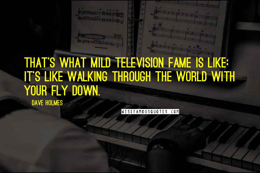 Dave Holmes Quotes: That's what mild television fame is like: it's like walking through the world with your fly down.