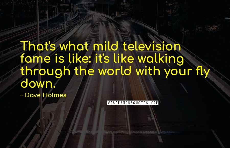 Dave Holmes Quotes: That's what mild television fame is like: it's like walking through the world with your fly down.