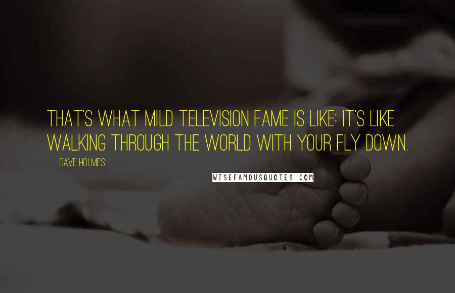 Dave Holmes Quotes: That's what mild television fame is like: it's like walking through the world with your fly down.