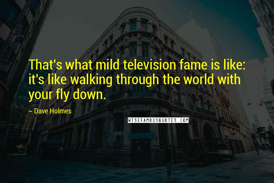 Dave Holmes Quotes: That's what mild television fame is like: it's like walking through the world with your fly down.