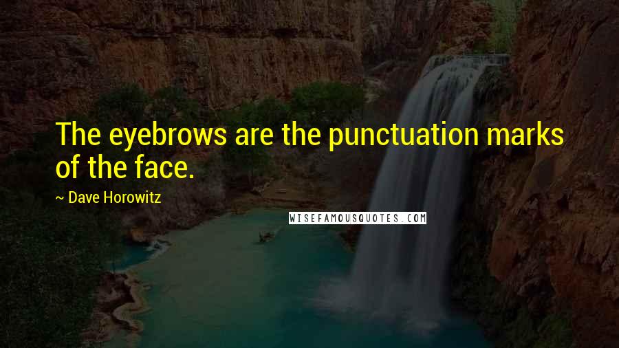Dave Horowitz Quotes: The eyebrows are the punctuation marks of the face.