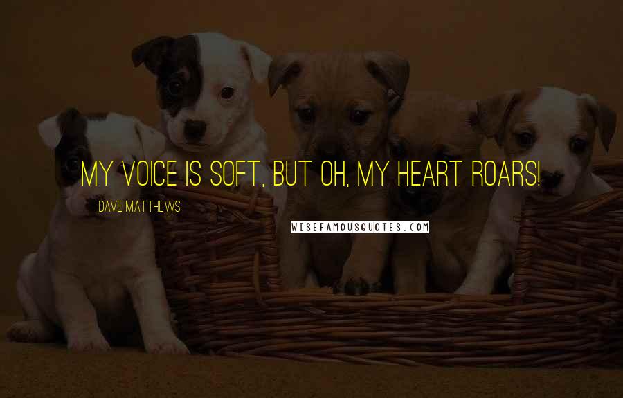 Dave Matthews Quotes: My voice is soft, but oh, my heart roars!