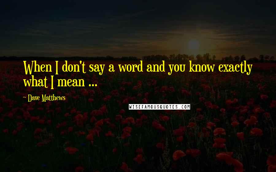Dave Matthews Quotes: When I don't say a word and you know exactly what I mean ...