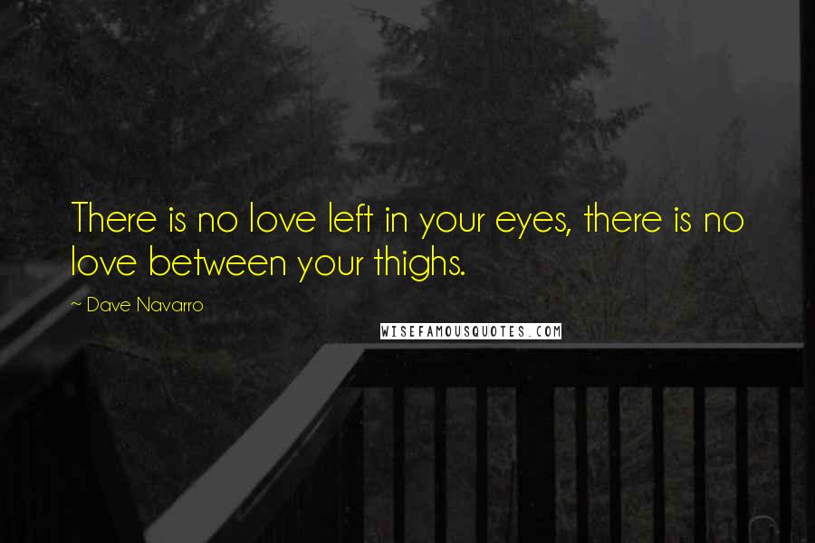 Dave Navarro Quotes: There is no love left in your eyes, there is no love between your thighs.