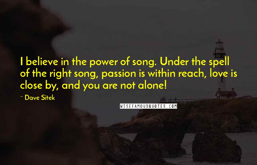 Dave Sitek Quotes: I believe in the power of song. Under the spell of the right song, passion is within reach, love is close by, and you are not alone!