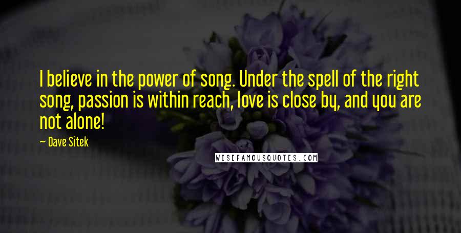 Dave Sitek Quotes: I believe in the power of song. Under the spell of the right song, passion is within reach, love is close by, and you are not alone!