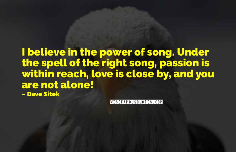 Dave Sitek Quotes: I believe in the power of song. Under the spell of the right song, passion is within reach, love is close by, and you are not alone!