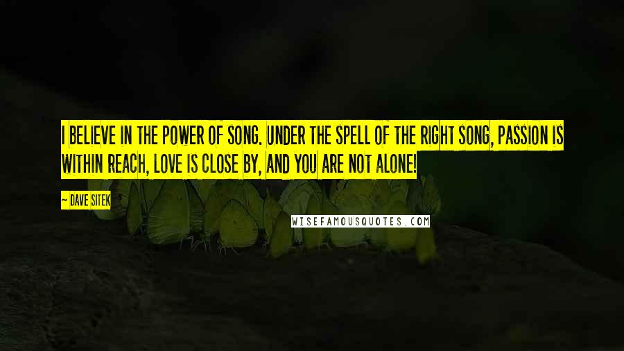 Dave Sitek Quotes: I believe in the power of song. Under the spell of the right song, passion is within reach, love is close by, and you are not alone!