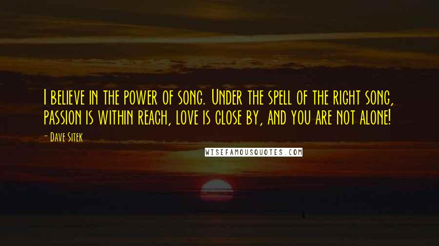 Dave Sitek Quotes: I believe in the power of song. Under the spell of the right song, passion is within reach, love is close by, and you are not alone!