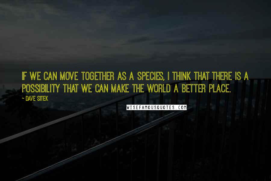 Dave Sitek Quotes: If we can move together as a species, I think that there is a possibility that we can make the world a better place.