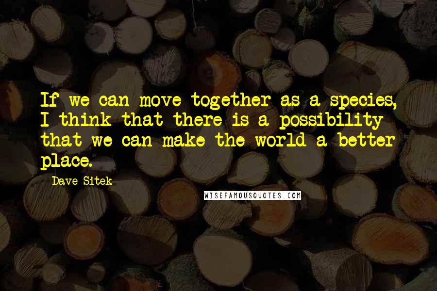 Dave Sitek Quotes: If we can move together as a species, I think that there is a possibility that we can make the world a better place.