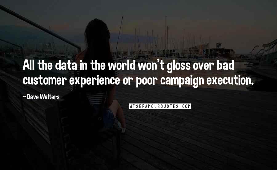 Dave Walters Quotes: All the data in the world won't gloss over bad customer experience or poor campaign execution.