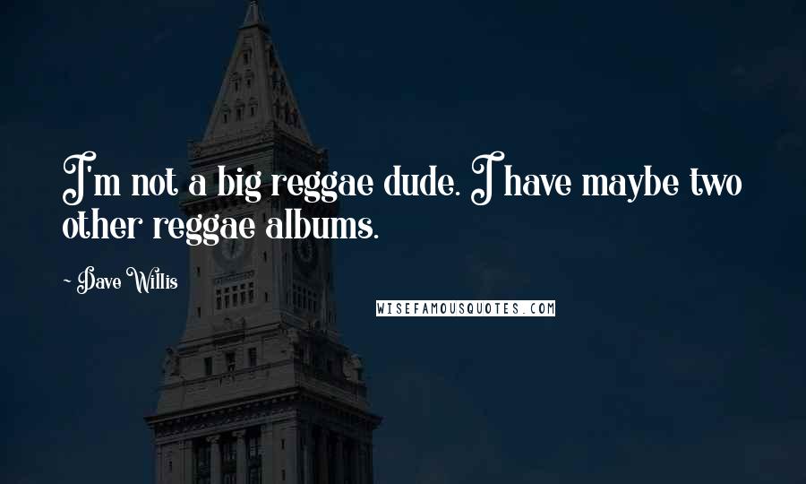 Dave Willis Quotes: I'm not a big reggae dude. I have maybe two other reggae albums.