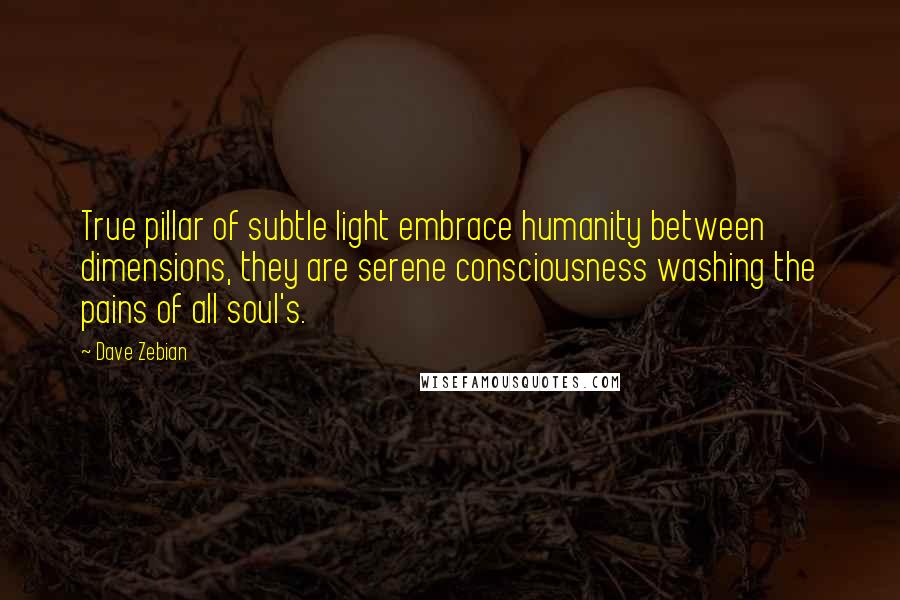 Dave Zebian Quotes: True pillar of subtle light embrace humanity between dimensions, they are serene consciousness washing the pains of all soul's.