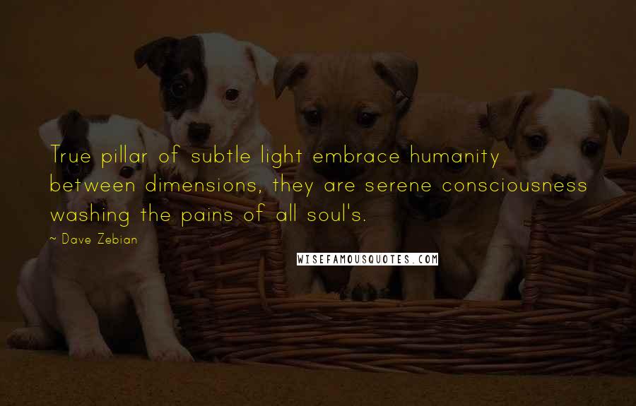 Dave Zebian Quotes: True pillar of subtle light embrace humanity between dimensions, they are serene consciousness washing the pains of all soul's.