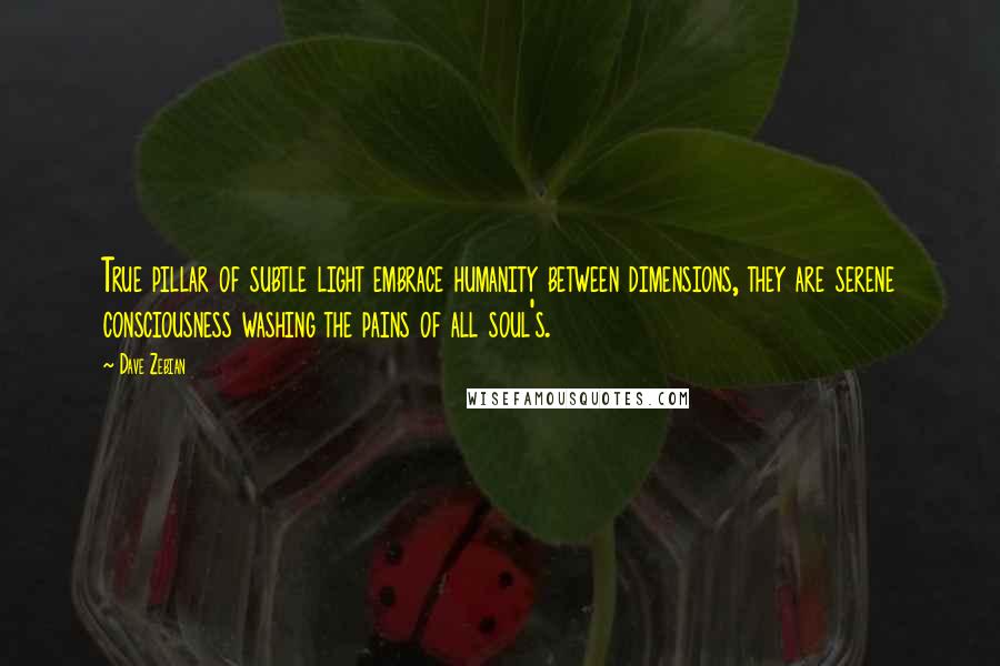 Dave Zebian Quotes: True pillar of subtle light embrace humanity between dimensions, they are serene consciousness washing the pains of all soul's.