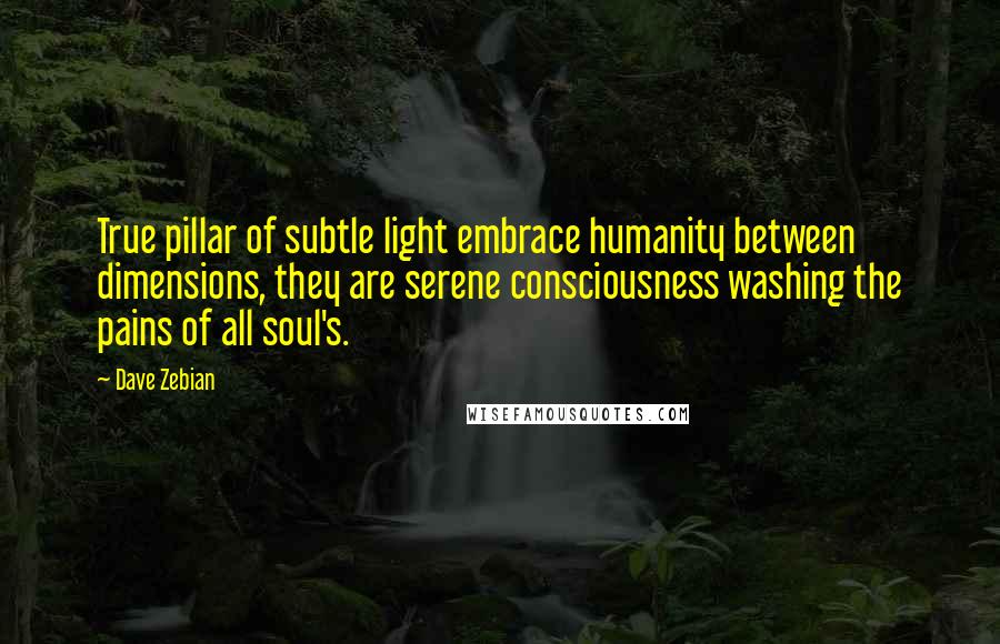 Dave Zebian Quotes: True pillar of subtle light embrace humanity between dimensions, they are serene consciousness washing the pains of all soul's.