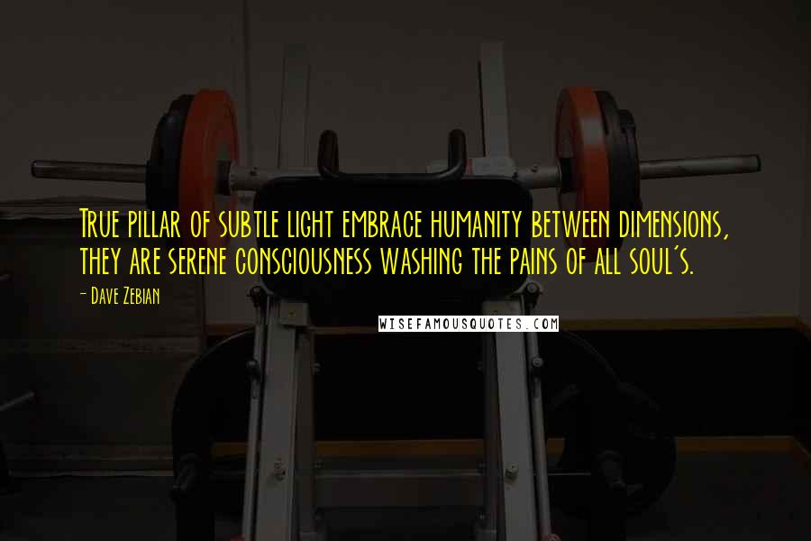 Dave Zebian Quotes: True pillar of subtle light embrace humanity between dimensions, they are serene consciousness washing the pains of all soul's.