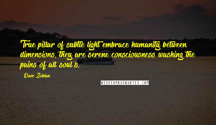 Dave Zebian Quotes: True pillar of subtle light embrace humanity between dimensions, they are serene consciousness washing the pains of all soul's.