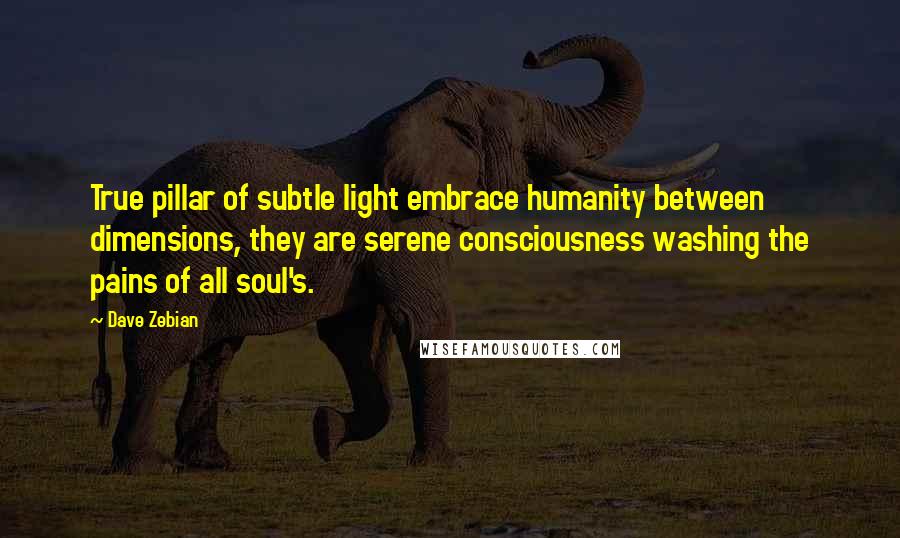 Dave Zebian Quotes: True pillar of subtle light embrace humanity between dimensions, they are serene consciousness washing the pains of all soul's.