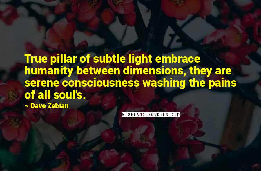 Dave Zebian Quotes: True pillar of subtle light embrace humanity between dimensions, they are serene consciousness washing the pains of all soul's.