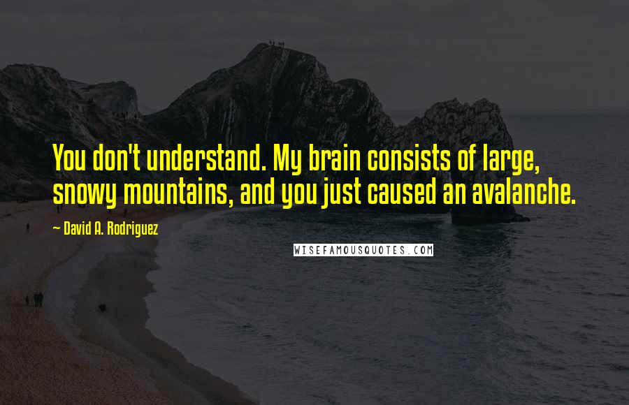 David A. Rodriguez Quotes: You don't understand. My brain consists of large, snowy mountains, and you just caused an avalanche.