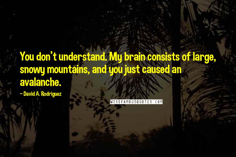 David A. Rodriguez Quotes: You don't understand. My brain consists of large, snowy mountains, and you just caused an avalanche.