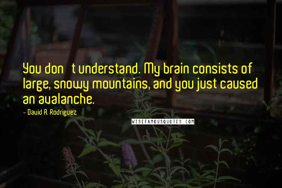 David A. Rodriguez Quotes: You don't understand. My brain consists of large, snowy mountains, and you just caused an avalanche.