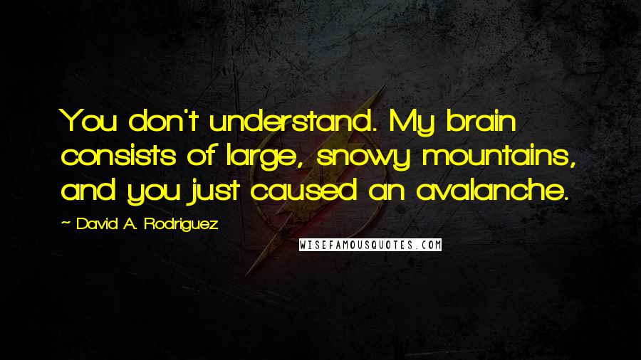 David A. Rodriguez Quotes: You don't understand. My brain consists of large, snowy mountains, and you just caused an avalanche.