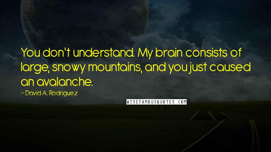 David A. Rodriguez Quotes: You don't understand. My brain consists of large, snowy mountains, and you just caused an avalanche.