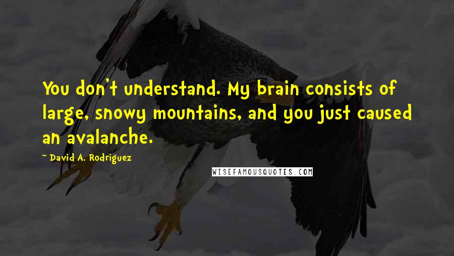 David A. Rodriguez Quotes: You don't understand. My brain consists of large, snowy mountains, and you just caused an avalanche.