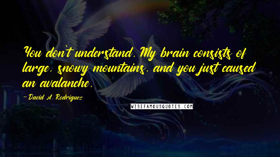 David A. Rodriguez Quotes: You don't understand. My brain consists of large, snowy mountains, and you just caused an avalanche.