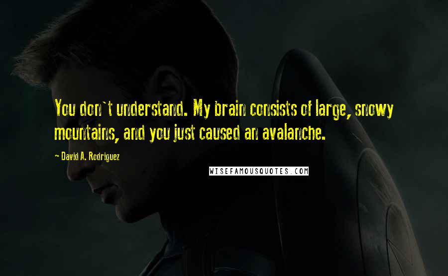 David A. Rodriguez Quotes: You don't understand. My brain consists of large, snowy mountains, and you just caused an avalanche.