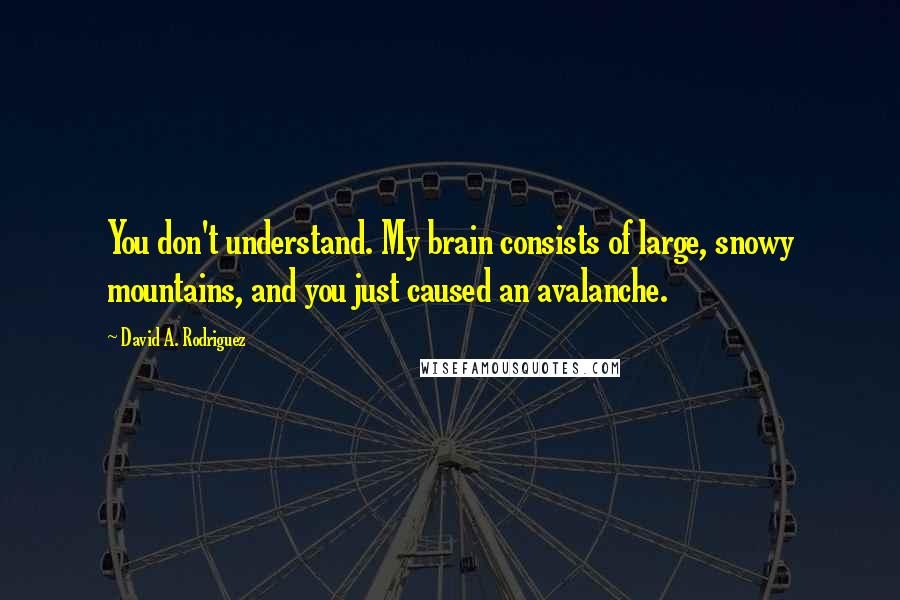 David A. Rodriguez Quotes: You don't understand. My brain consists of large, snowy mountains, and you just caused an avalanche.