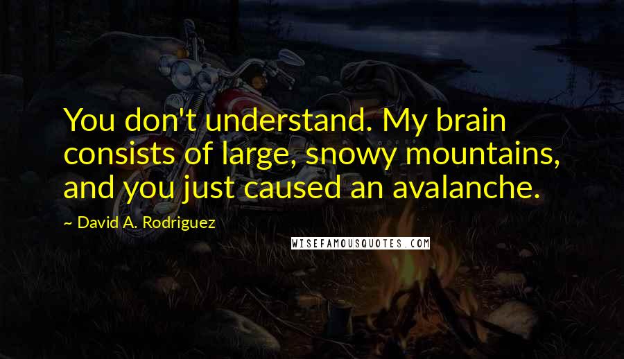 David A. Rodriguez Quotes: You don't understand. My brain consists of large, snowy mountains, and you just caused an avalanche.