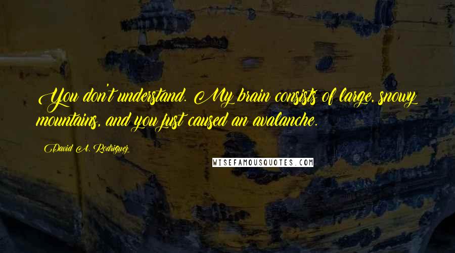 David A. Rodriguez Quotes: You don't understand. My brain consists of large, snowy mountains, and you just caused an avalanche.