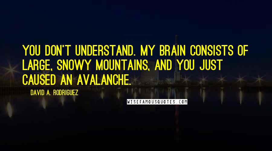 David A. Rodriguez Quotes: You don't understand. My brain consists of large, snowy mountains, and you just caused an avalanche.